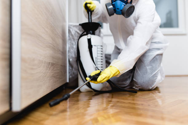 Professional Pest Control in Nisswa, MN