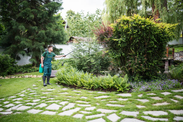 Best Local Pest Control Services  in Nisswa, MN