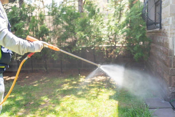 Best Wasp Removal Services  in Nisswa, MN