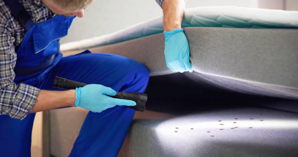 Best Pest Control for Homes  in Nisswa, MN
